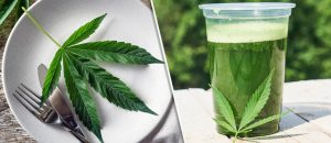 Medical Marijuana: It Really Is A Healing Herb